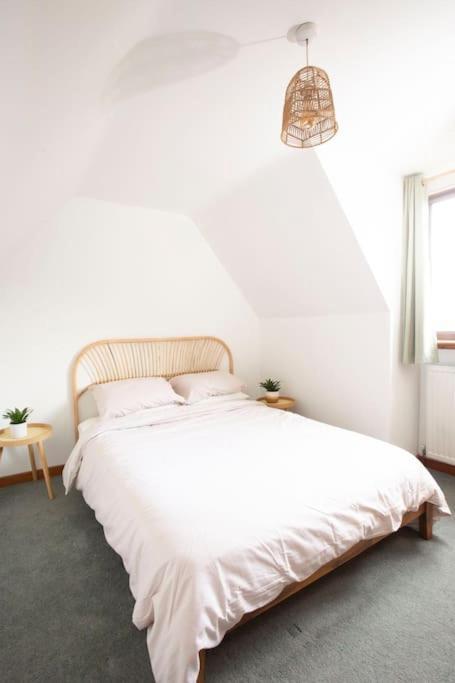 קורוון Hillside Cottage, Countryside Views Near Llangollen מראה חיצוני תמונה
